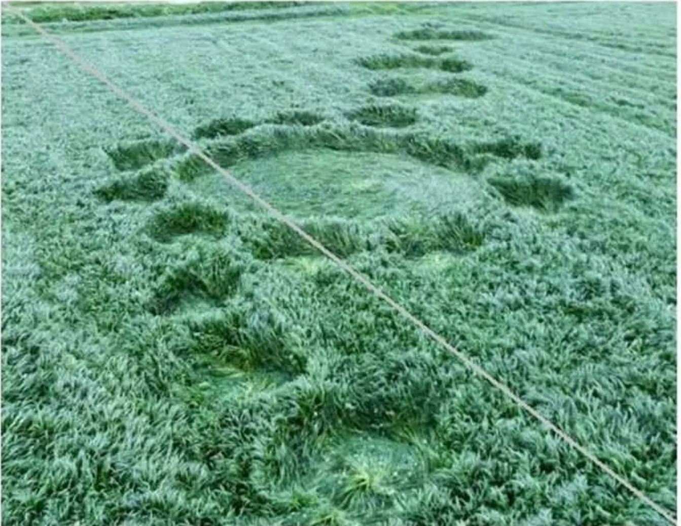 Crop Circles de van der Broken (4)