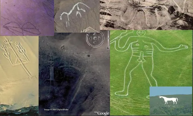 53940015