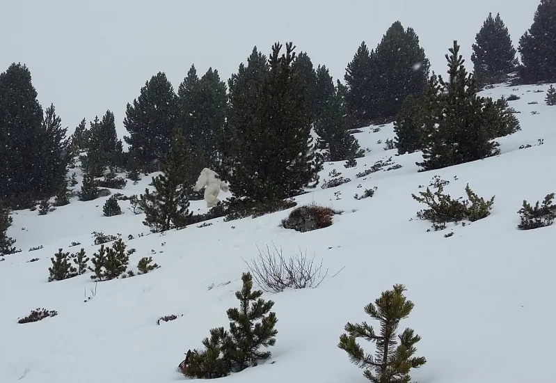 Foto 2