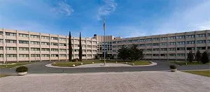 cni-mjg