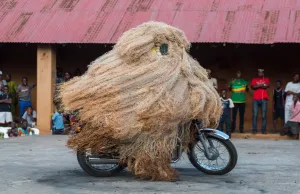 zangbeto moto2